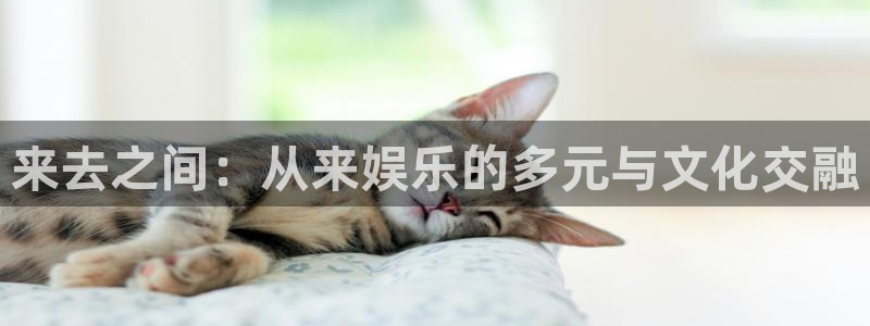 恒行5官网k88v店cc安全：来去之间：从来娱乐的多元与文化交融