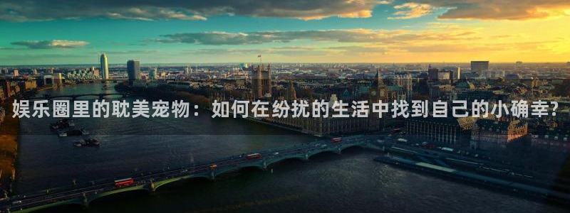 恒行5官网体验k88v典cc：娱乐圈里的耽美宠物：如何在纷扰的生活中找到自己的小确幸?