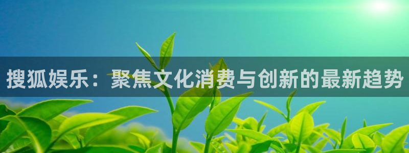 恒行5：搜狐娱乐：聚焦文化消费与创新的最新趋势