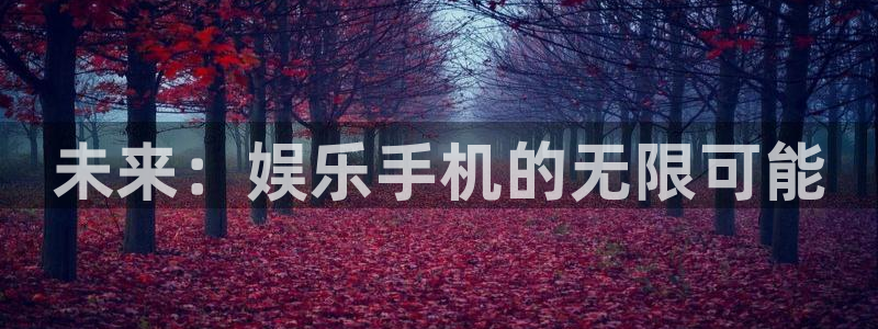 恒行5：未来：娱乐手机的无限可能