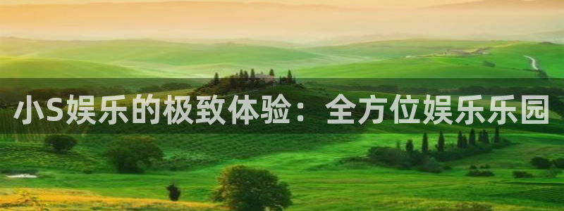 恒行5：小S娱乐的极致体验：全方位娱乐乐园