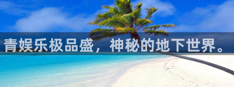 恒行5官网k88v店cc安全：青娱乐极品盛，神秘的地下世界。